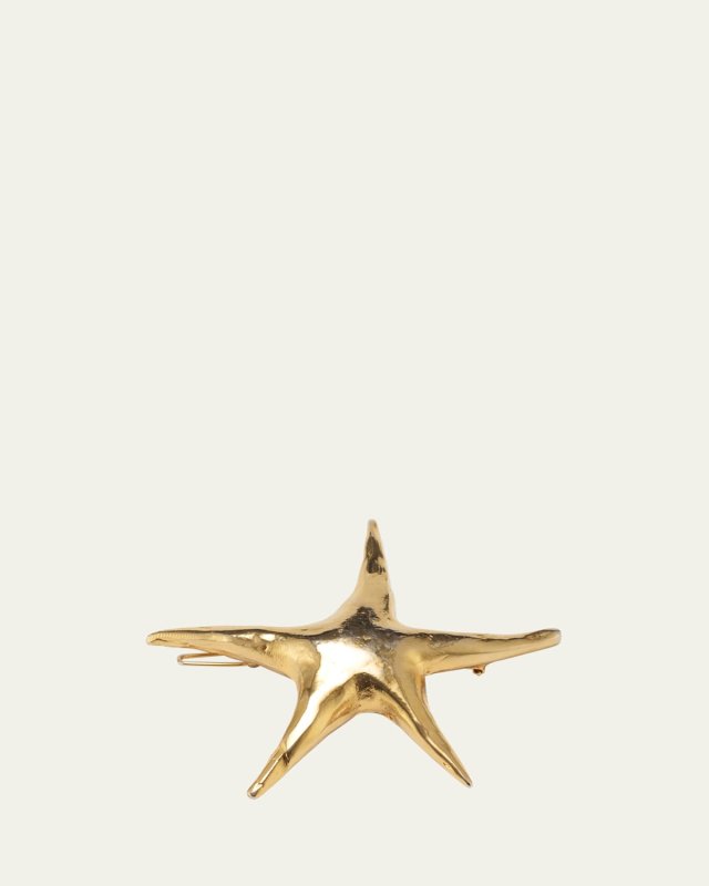 Nala Star Barrette